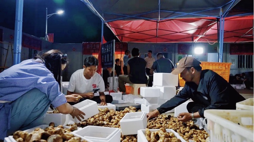 直播現(xiàn)場。雅江外宣供圖