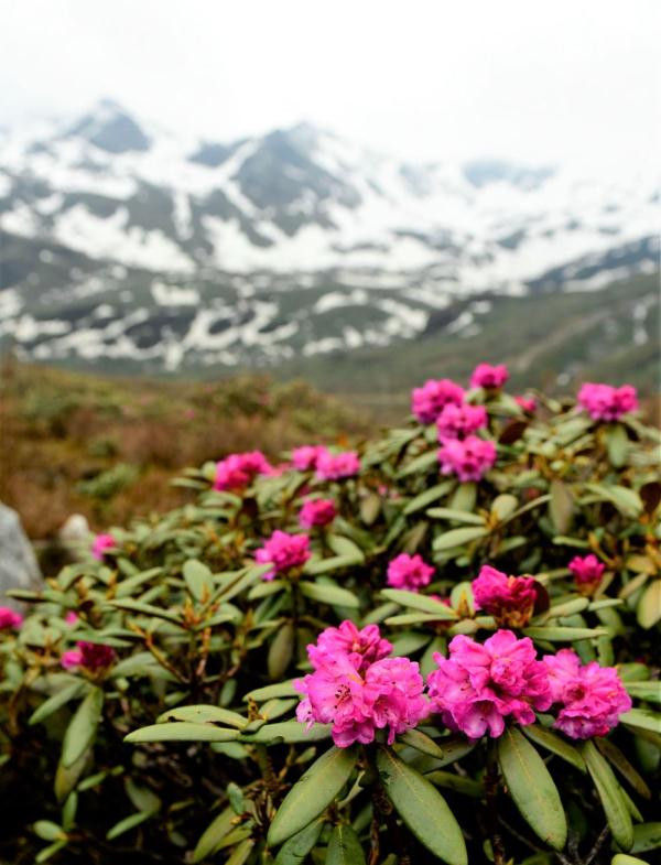 跟我，踏上最美“景觀大道”