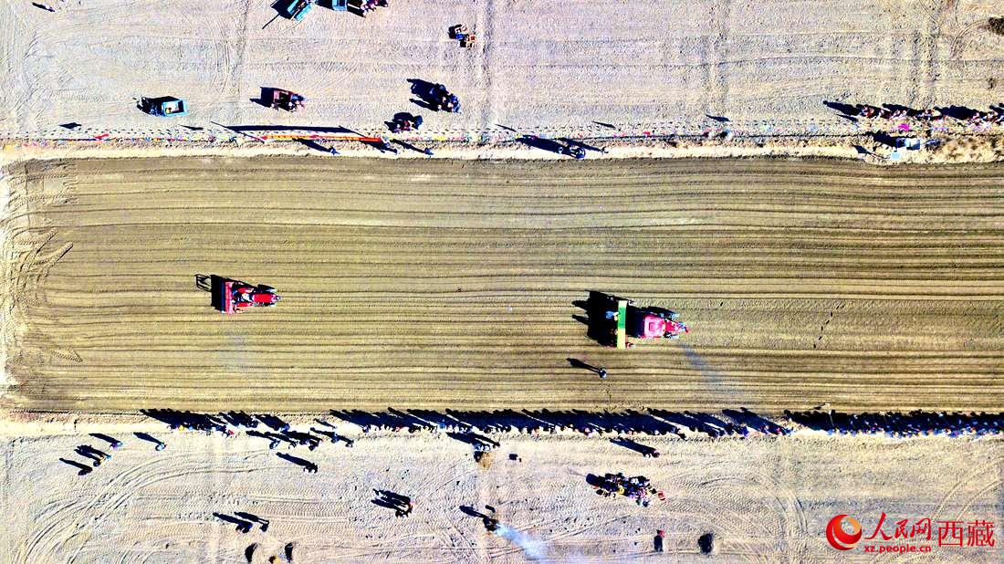 山南市扎囊縣扎其鄉(xiāng)孟卡榮村迎來(lái)春耕第一犁。人民網(wǎng) 次仁羅布攝