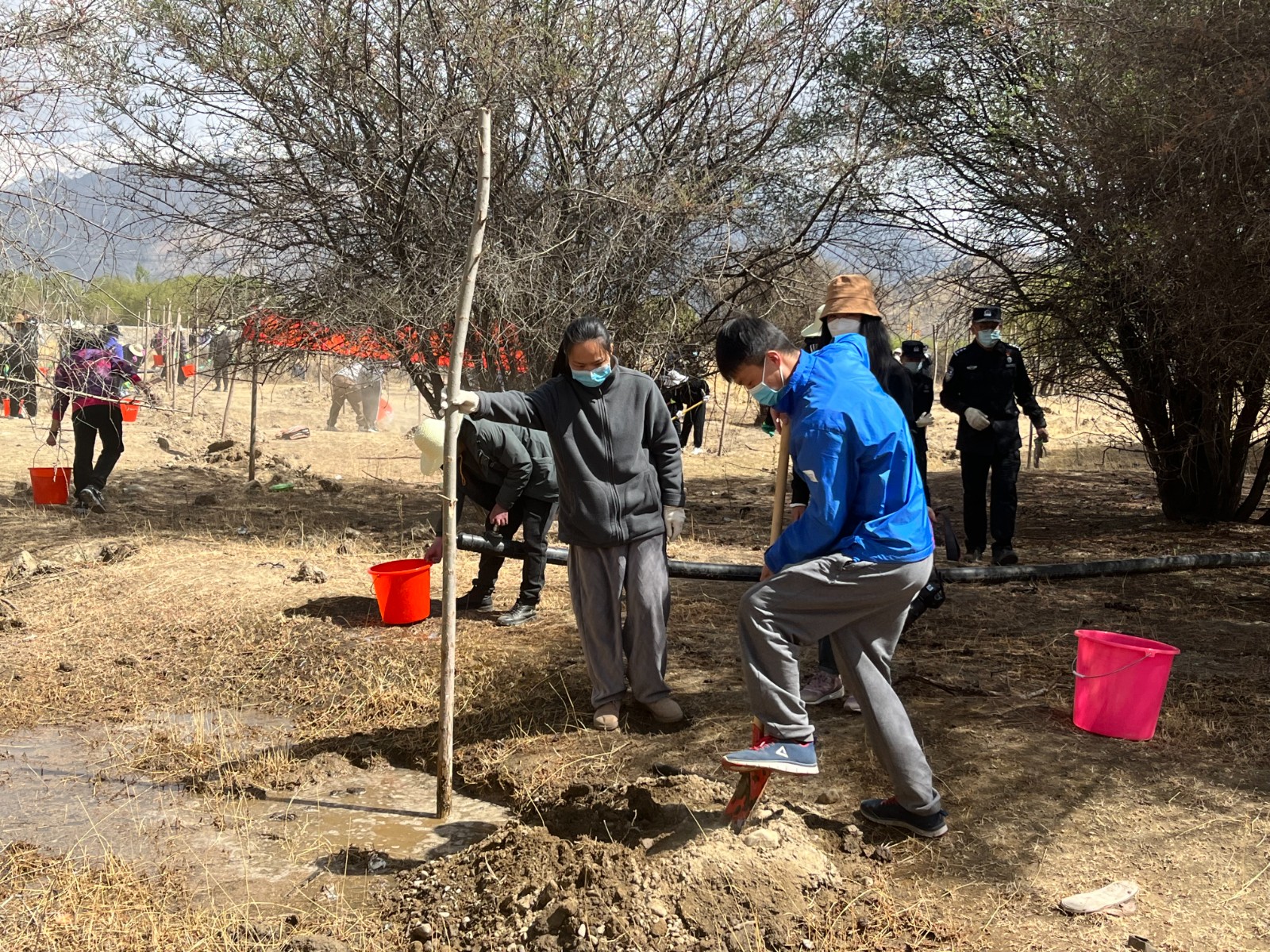 植樹(shù)現(xiàn)場(chǎng)，大家分工明確，配合默契(2000565)-20220420090303.jpg