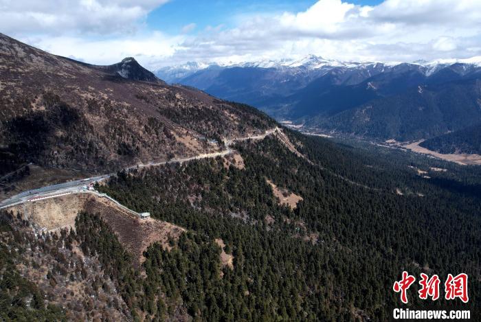 2月17日，西藏林芝魯朗林海。(無人機(jī)照片) 李林 攝