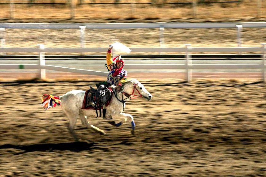 藏歷新年，精彩的馬術(shù)表演。張靜攝