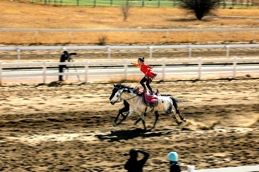 藏歷新年，精彩的馬術(shù)表演。張靜攝