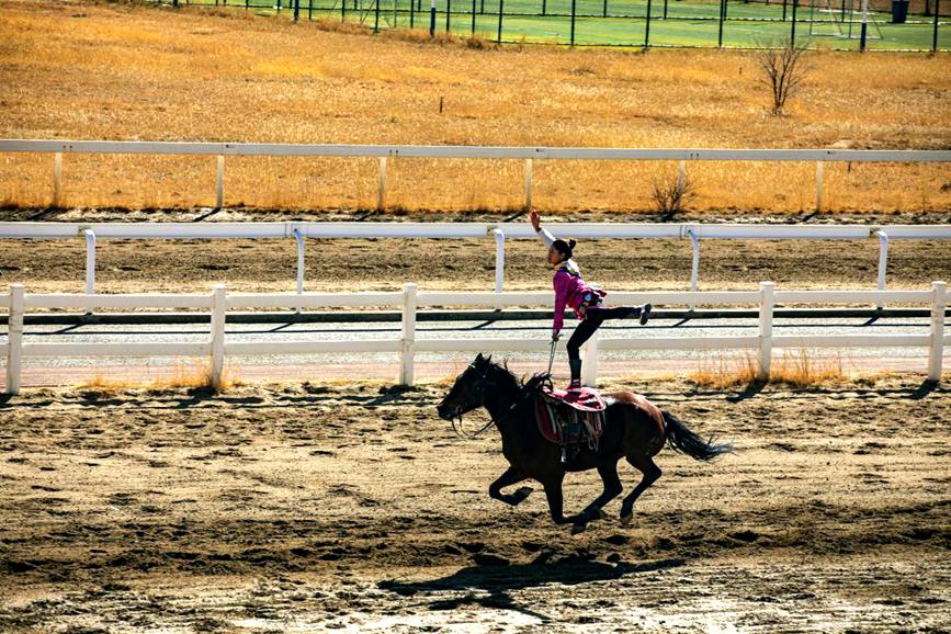 藏歷新年，精彩的馬術(shù)表演。張靜攝