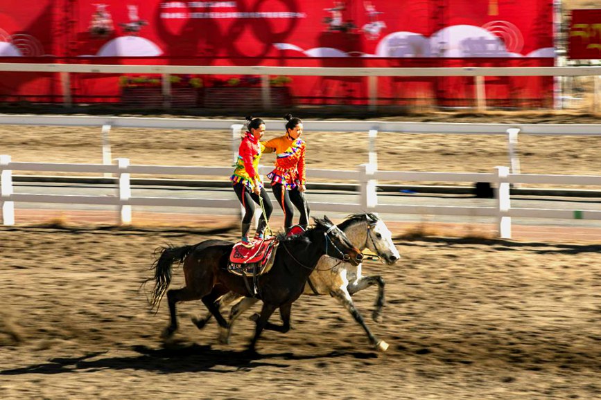 藏歷新年，精彩的馬術(shù)表演。張靜攝