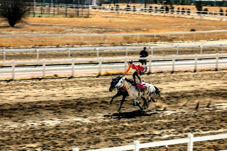 藏歷新年，精彩的馬術(shù)表演。張靜攝