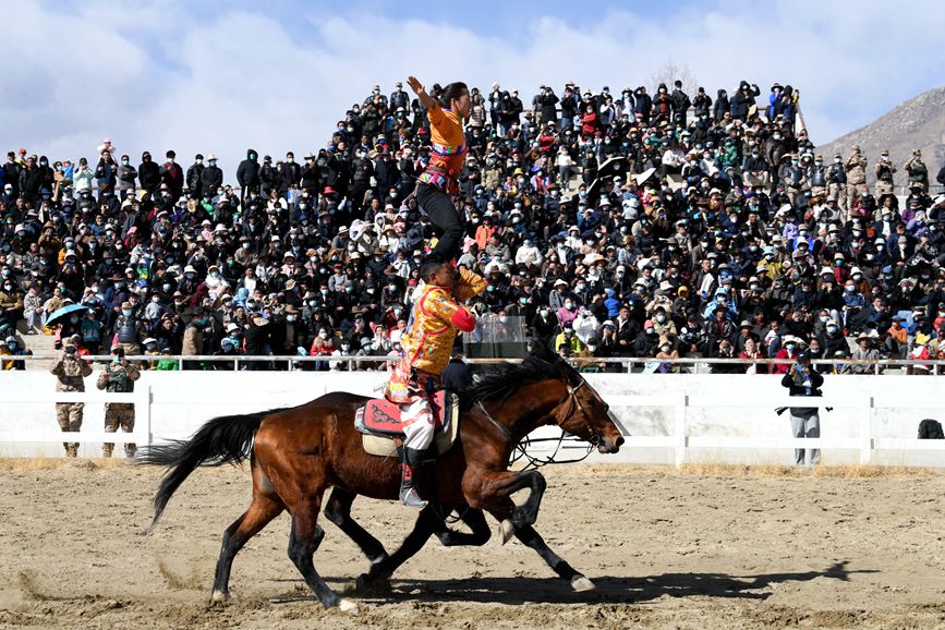 藏歷新年，精彩的馬術(shù)表演。潘多攝