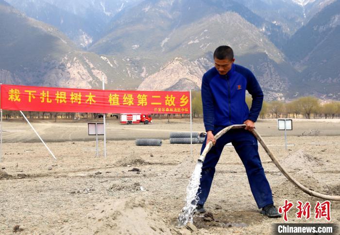 林芝市巴宜區(qū)森林消防中隊(duì)志愿服務(wù)隊(duì)澆水灌溉?！∥骼@拉翁 攝