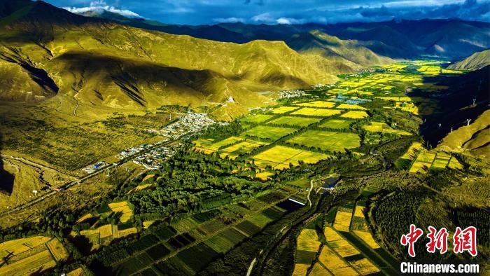 圖為山南雍布拉康附近農(nóng)田?！埼?攝