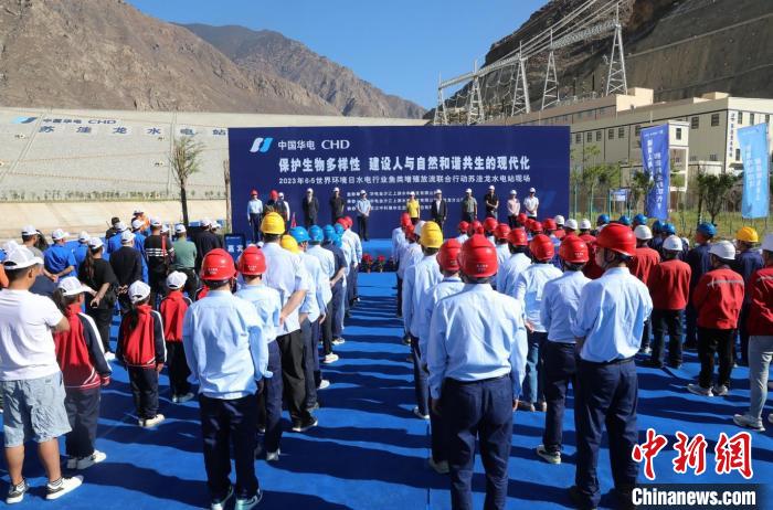 圖為蘇洼龍水電站魚類放流現場。　蘇洼龍水電站供圖