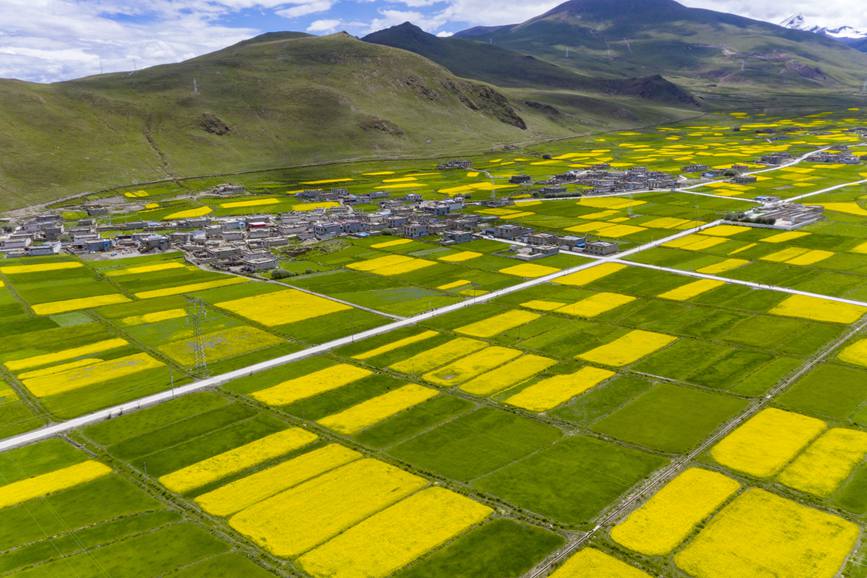 航拍道布龍村，依山傍水，阡陌縱橫。