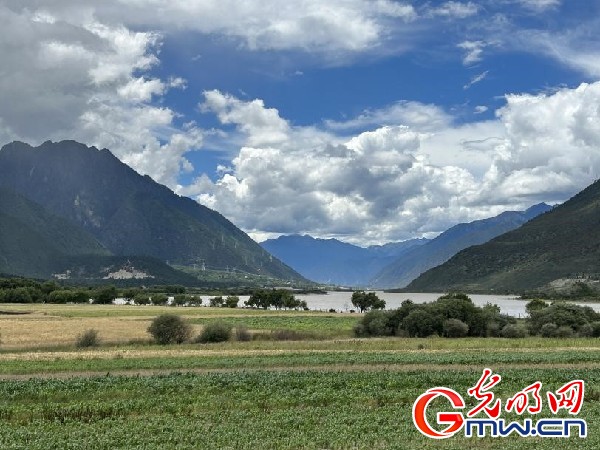 我們的家園｜林芝米林縣：河長護藥洲，碧水映花谷