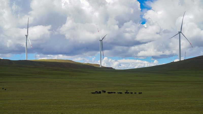 西藏措美哲古風(fēng)電場(chǎng)首批3.6兆瓦風(fēng)電機(jī)組并網(wǎng)發(fā)電。受訪者供圖