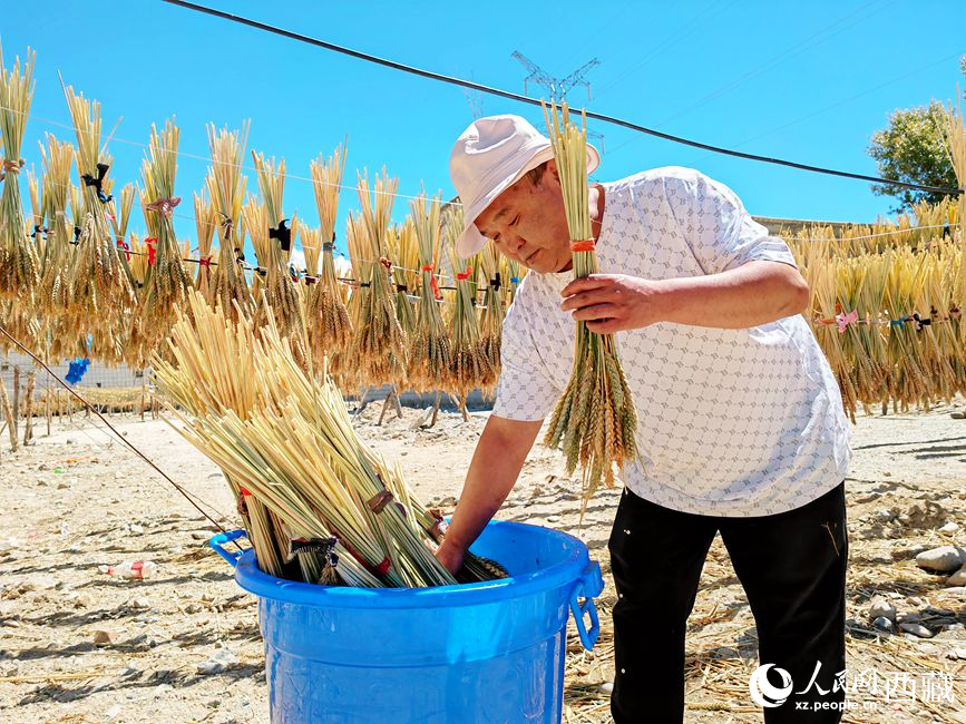 幸福生活曬出來。人民網(wǎng) 李海霞攝