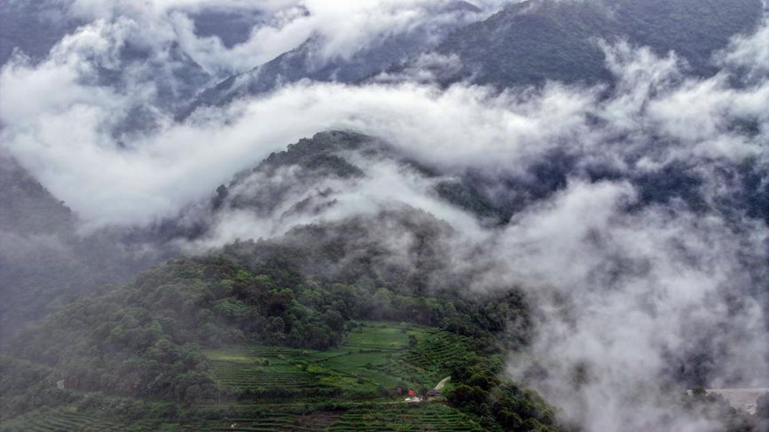 秋日里的墨脫云海。張澤坤攝