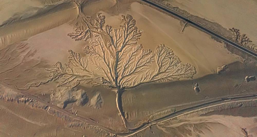 壯觀的“大地之樹(shù)”。邊巴多吉攝