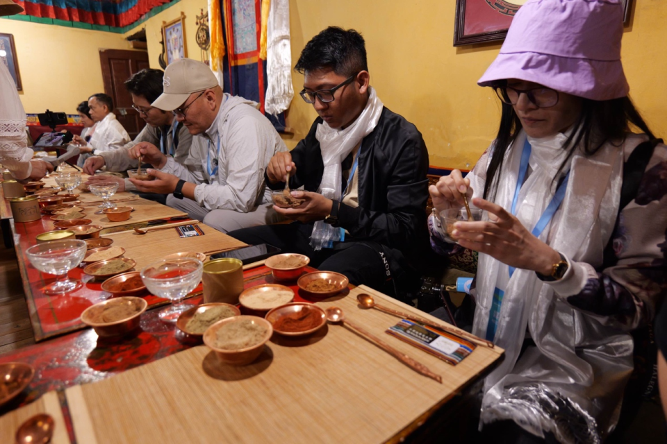 “中國在保護(hù)自然環(huán)境的同時實現(xiàn)了高度現(xiàn)代化！” ——多國記者眼中的現(xiàn)代西藏_fororder_圖片7