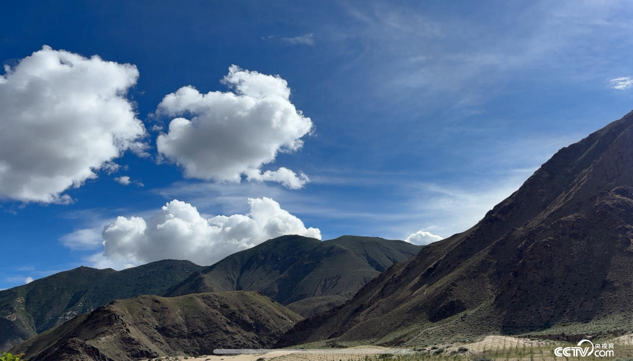 拉薩南北山綠化工程貢嘎段11號(hào)片區(qū)（攝影 李婷婷）