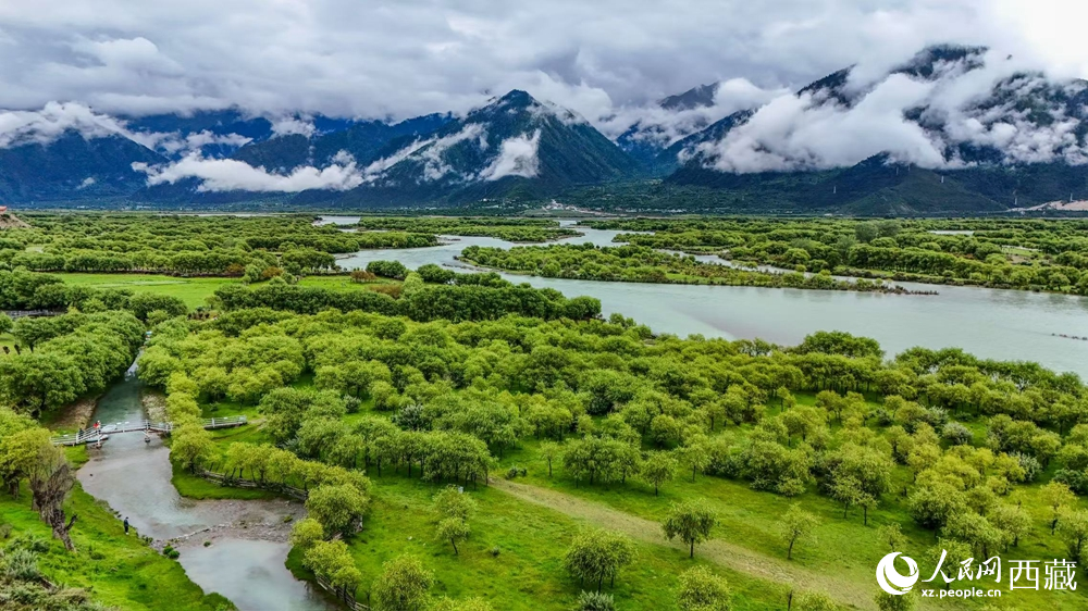 鳥瞰盛夏季節(jié)的雅尼濕地風光。人民網(wǎng)記者 次仁羅布攝