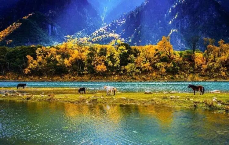 懂西藏的人，一定不會錯過林芝的秋天