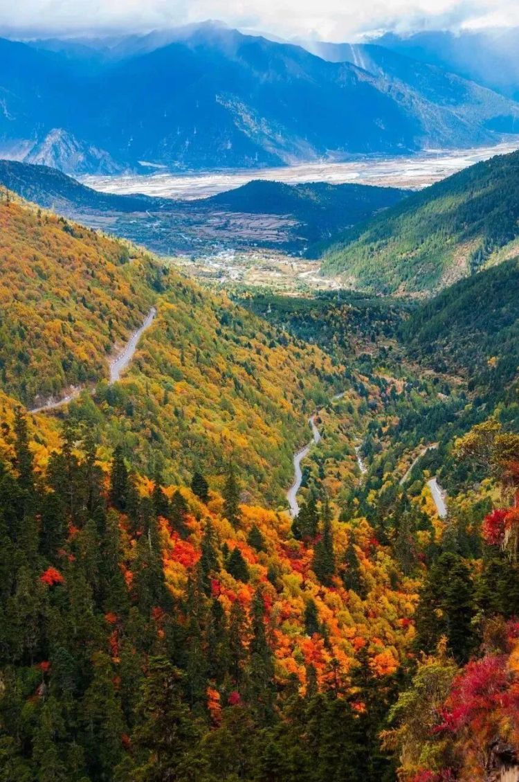 懂西藏的人，一定不會錯過林芝的秋天