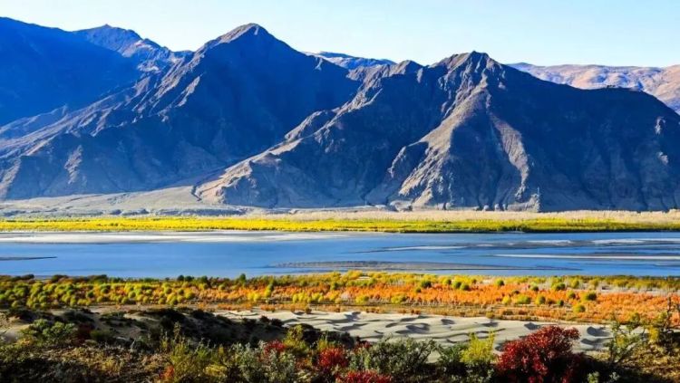 懂西藏的人，一定不會錯過林芝的秋天