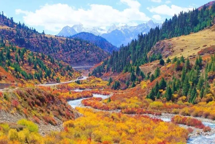 懂西藏的人，一定不會錯過林芝的秋天