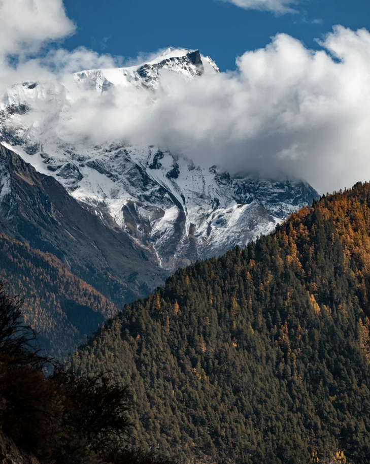 懂西藏的人，一定不會錯過林芝的秋天