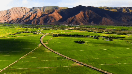 青稞“蛻變”，牦?！俺鋈Α?！看西藏農(nóng)牧民的“十四五”豐收答卷