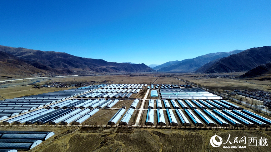 墨竹工卡縣現(xiàn)代農(nóng)業(yè)示范園。人民網(wǎng)記者 吳雨仁攝