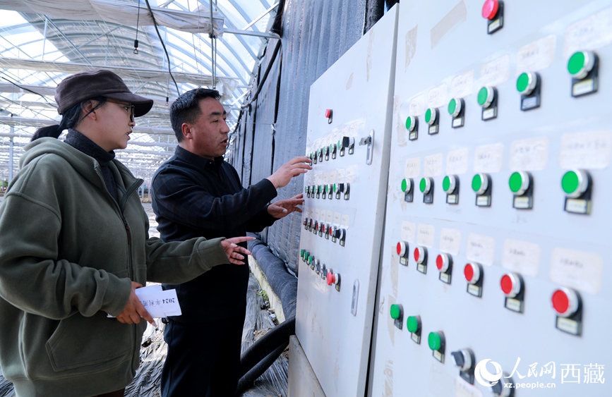 技術(shù)人員正在調(diào)整溫室智能環(huán)境調(diào)控系統(tǒng)。人民網(wǎng)記者 吳雨仁攝