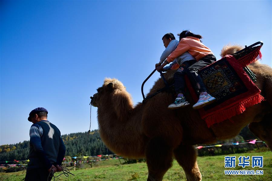 （全面建成小康社會(huì)“百城千縣萬(wàn)村調(diào)研行”·圖文互動(dòng)）（7）青?？?yáng)村：“光棍村”的華麗轉(zhuǎn)身