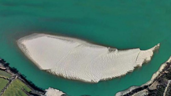 看！雅魯藏布江上有這樣一條“沙魚”