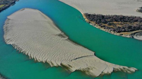 看！雅魯藏布江上有這樣一條“沙魚”