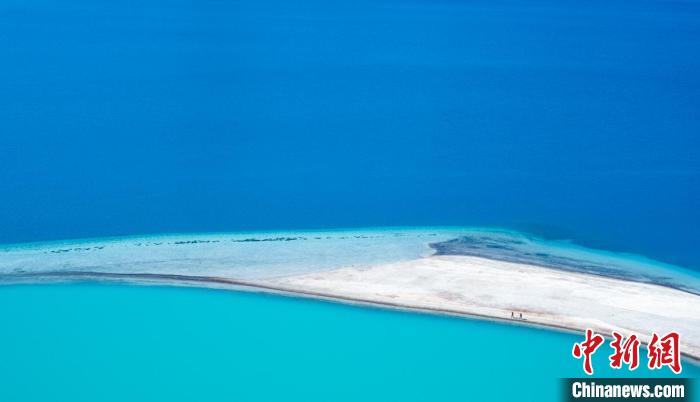 圖為山南羊卓雍錯。　何蓬磊 攝