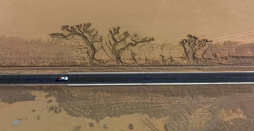 位于國(guó)道216沿線的“大地之樹”。邊巴多吉攝