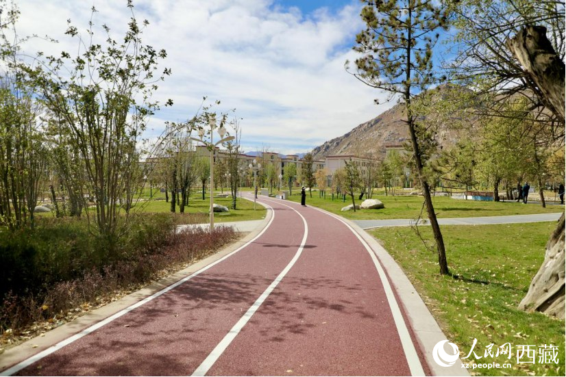 圖為青年林卡公園新設(shè)的跑道。人民網(wǎng)記者 次仁羅布攝