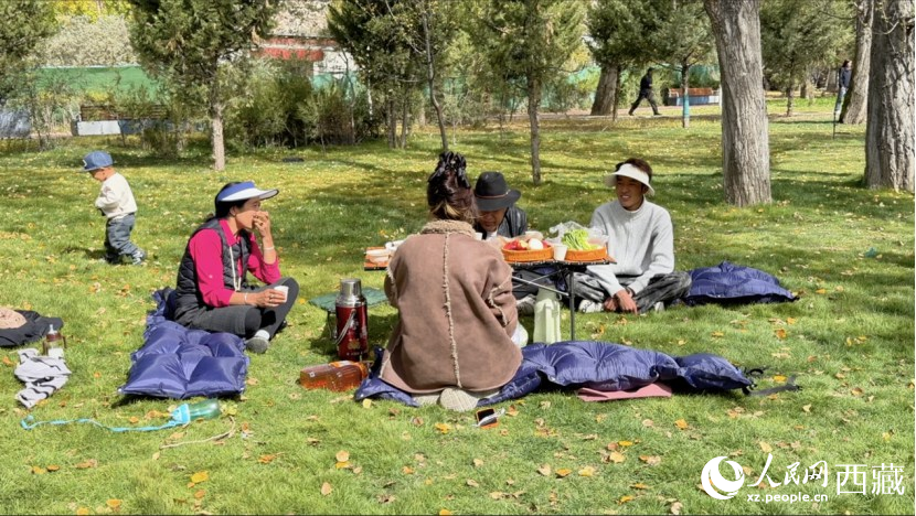 圖為市民在公園內(nèi)聚會(huì)。人民網(wǎng)記者 次仁羅布攝