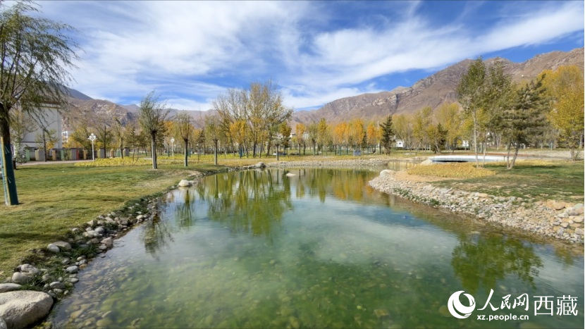 圖為青年林卡公園。人民網(wǎng)記者 次仁羅布攝