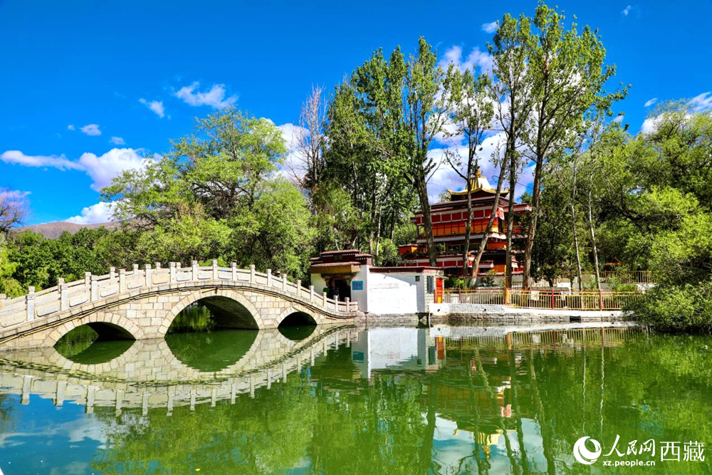 公園內綠意盎然。