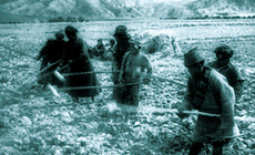 農(nóng)奴被強(qiáng)迫從事無償勞動(dòng)