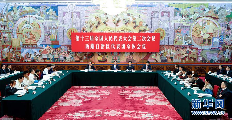 （兩會(huì)）西藏代表團(tuán)全體會(huì)議向媒體開(kāi)放