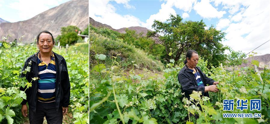 （脫貧攻堅·圖片故事）（9）藏東大地脫貧影像