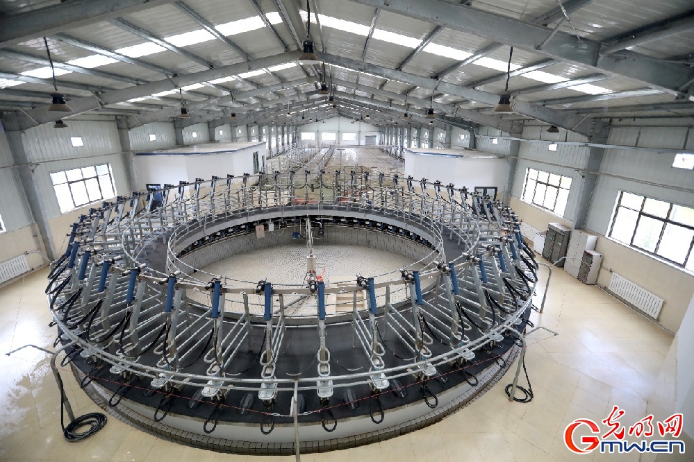 【幸?；ㄩ_新邊疆】大力發(fā)展西藏隆子縣特色產(chǎn)業(yè) 堅(jiān)決打贏脫貧攻堅(jiān)戰(zhàn)