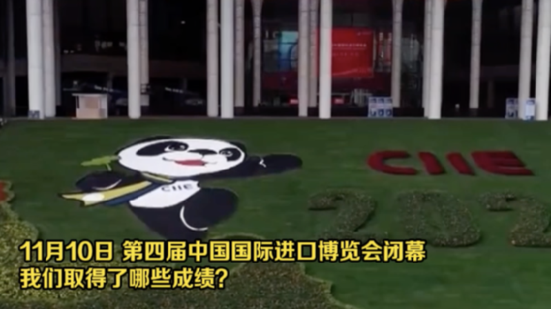 從進(jìn)博會(huì)看入世20年 這份成績單請(qǐng)收好！