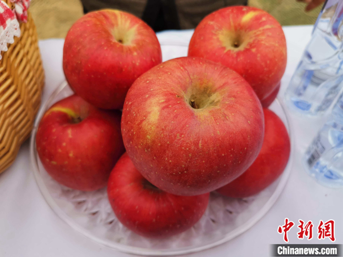 延安蘋果。<a target='_blank'  ><p  align=