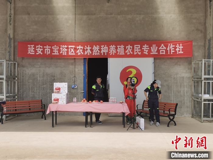 來源：柳林鎮(zhèn)果技園供圖。