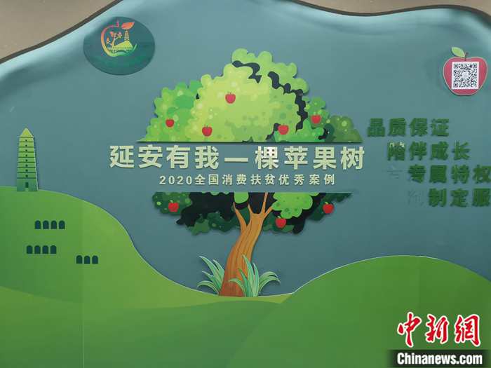 “延安有我一棵蘋果樹”。<a target='_blank'  ><p  align=