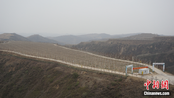 陜西省延安市安塞區(qū)高橋鎮(zhèn)南溝村生態(tài)示范園。 <a target='_blank'  ><p  align=