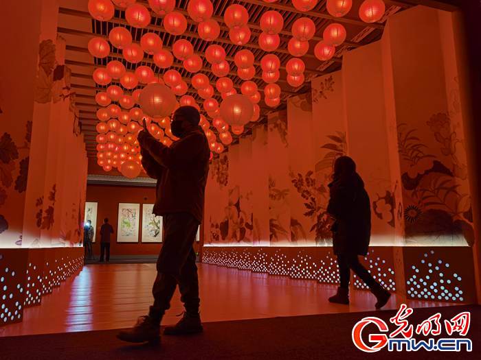 【新春走基層】視頻丨虎年看虎展！來國博感受虎文化